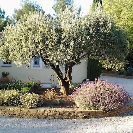 Maison Privee Au Calme Dans Mas Provencal Villa Sanary-sur-Mer Buitenkant foto