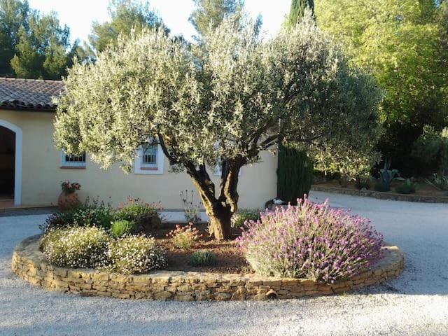 Maison Privee Au Calme Dans Mas Provencal Villa Sanary-sur-Mer Buitenkant foto